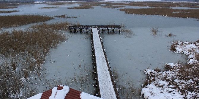Efteni Gölü Buz Tuttu