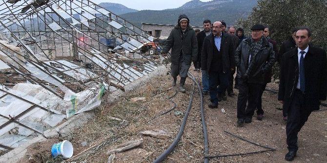 Başkan Kocamaz, Fırtınadan Etkilenen Üreticileri Yalnız Bırakmadı