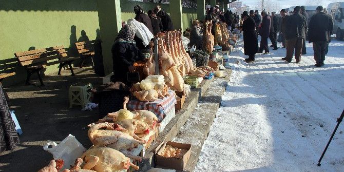 Eflani Hindileri Görücüye Çıktı