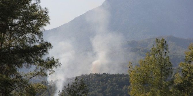 Kemer’de Orman Yangını
