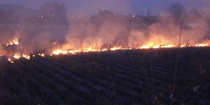 Kış Ortasında Arazi Yangını