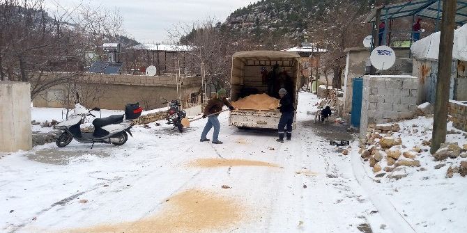 Silifke’de Karla Mücadele
