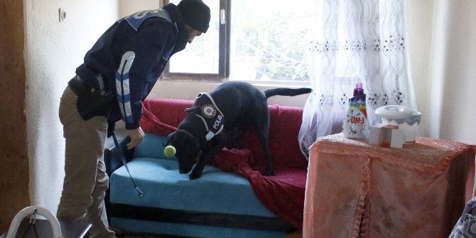 Antalya’da Uyuşturucu Tacirleri Tutuklandı