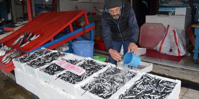 Hamsi’nin Ateşi Bir Türlü Düşmüyor