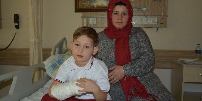 7 Yaşındaki Çocuk Pitbull Saldırısına Uğradı