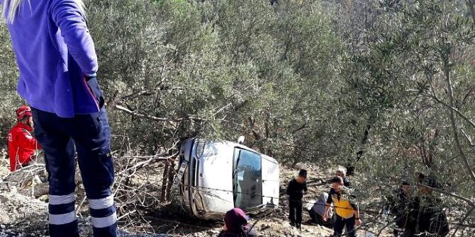 Bayan Sürücü Zeytinlik Alana Uçtu