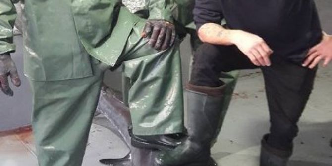 Dev Köpek Balığı Şaşkına Çevirdi