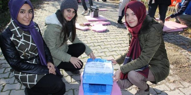 Öğrencilerden Sokak Kedilerine Ev