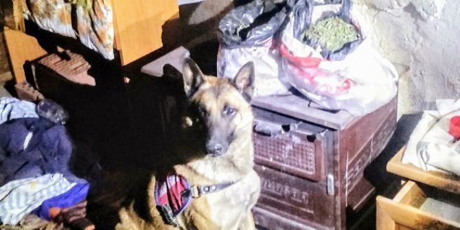 Soba İçindeki Uyuşturucuyu ’Evlat’ Buldu