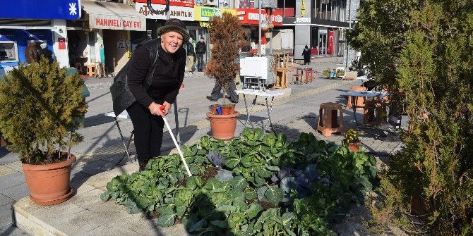 Caddede Organik Tarım