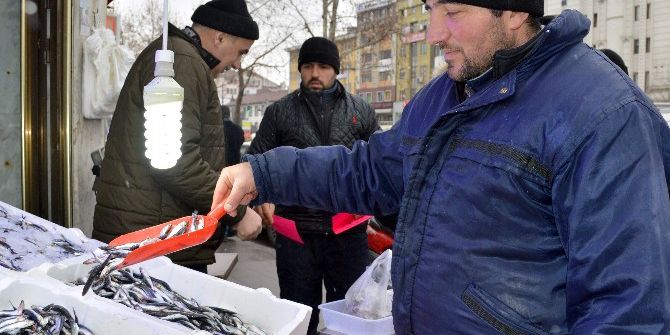 Kastamonu’da Yakalanan 500 Ton Hamsi, Fiyatları Düşürdü