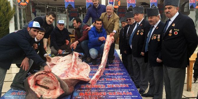 Ekmek Arası Köpekbalığı