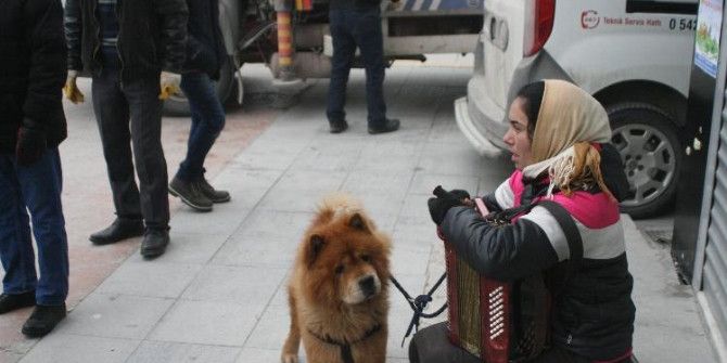 Bolulular Romanyalı Kadının Müzikleriyle Isındı