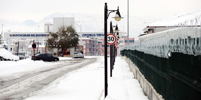 Maşti Etrafına Panel Çit