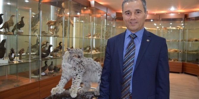 Prof. Dr. Başkaya: "Kış Mevsiminde Yabani Hayvanların Yemlenmesi Devlet Kontrolünde Yapılmalı"