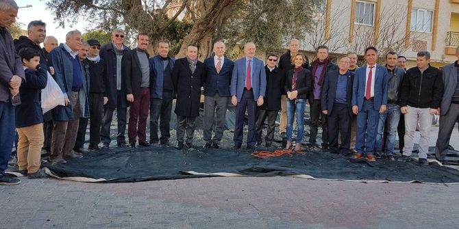1000 Yıllık Zeytin Ağacının Etrafında Birleştiler