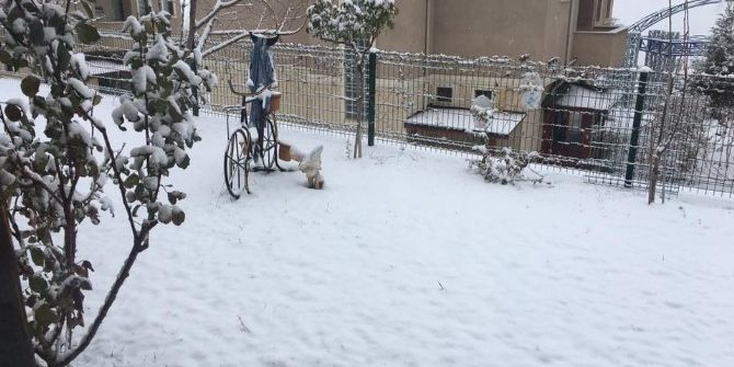 Bilecikliler Beyaza Bürünmüş Şehre Uyandı