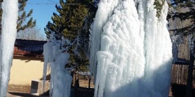 Beyşehir’de Ağaçlar Buz Tuttu