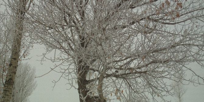 Özalp İlçesinde Dondurucu Soğuklar
