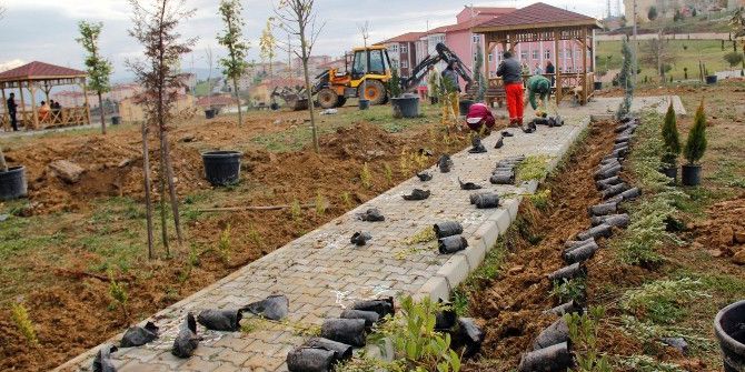Sakarya Ve Kocaeli’ne 8 Bin 253 Adet Fidan Dikildi