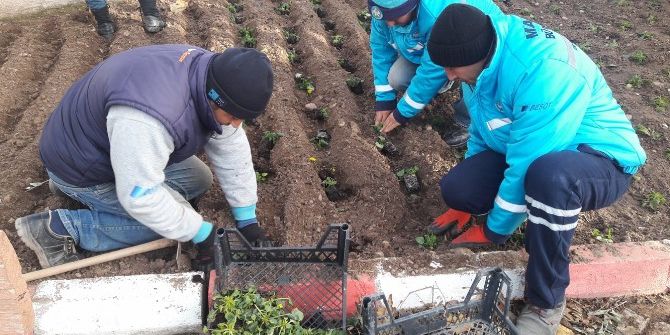 Turgutlu Rengarenk Oluyor