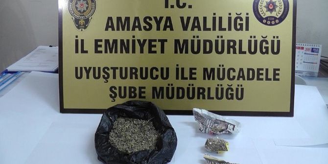 Yolcu Koltuğuna Bonzai Sıkıştırınca Yakalandılar