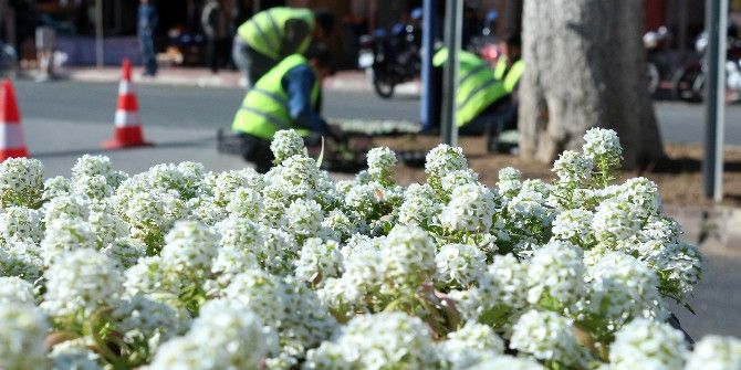Mersin’in Her Yanı Çiçeklerle Donatılıyor