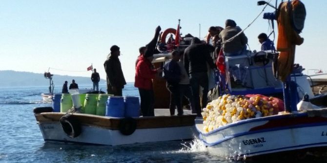 İzmir’de Deniz Patlıcanı Gerginliği