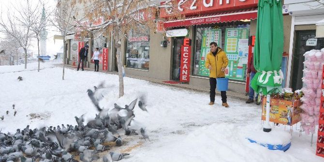 Bozüyük’te Kuşlar İçin Yem Bırakıldı