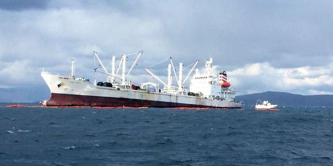 Kayalıklara Oturan Gemiden Yakıt Sızdı, Deniz Canlıları Kıyıya Vurdu