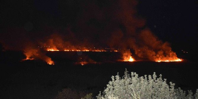 Kuş Cenneti Alevlere Teslim