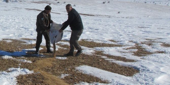 Elazığ’da Yaban Hayvanları İçin Doğaya Yem Bırakıldı