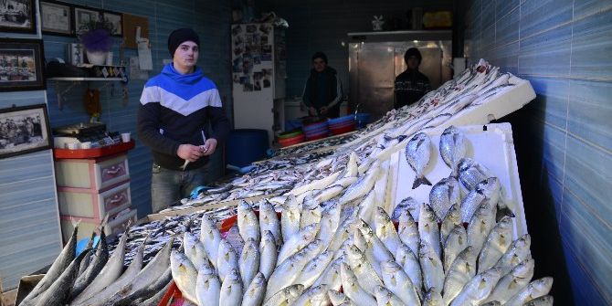 Karın Yağmasıyla Bilecik’te Balık Fiyatları Düştü