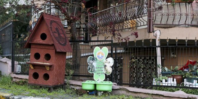 Sokak Hayvanlarına Rengarenk Yuvalar