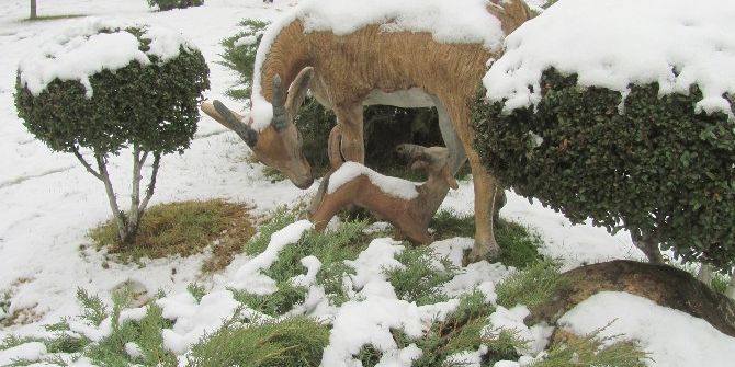 Araban’da Kar Sevinci