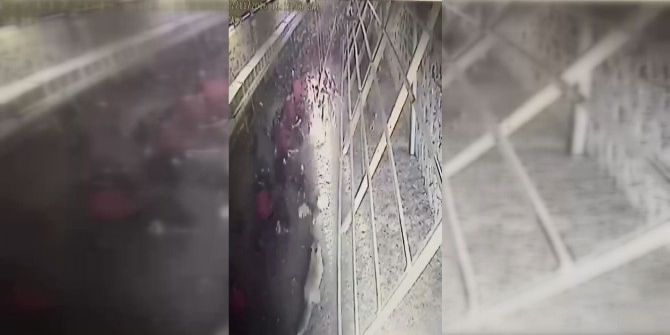 Tavuklar Kümese Giren Tilkiyi Kovaladı