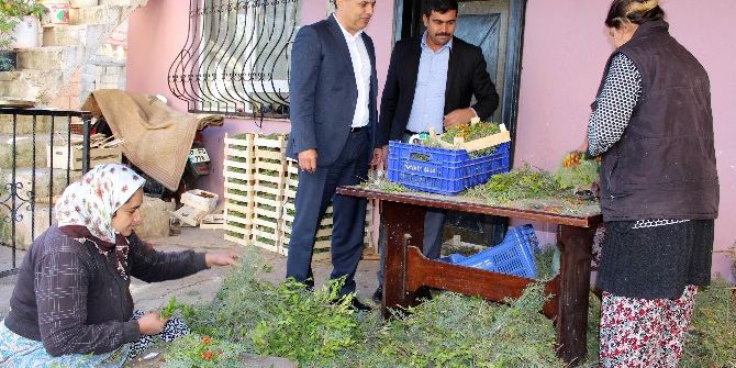 Zeytinköy Kadın Emeği Merkezi Açılıyor