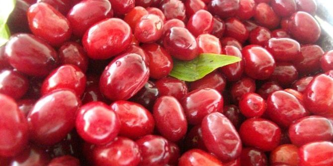 Gribe Karşı Kızılcık Tüketin