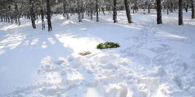 Şehitkamil Belediyesi Doğadaki Hayvanları Unutmadı