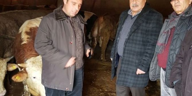 Başkan Özgökçe’den Üreticilere Ziyaret