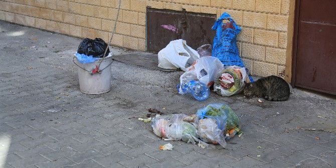 Milas’ta İşçiler Grevde