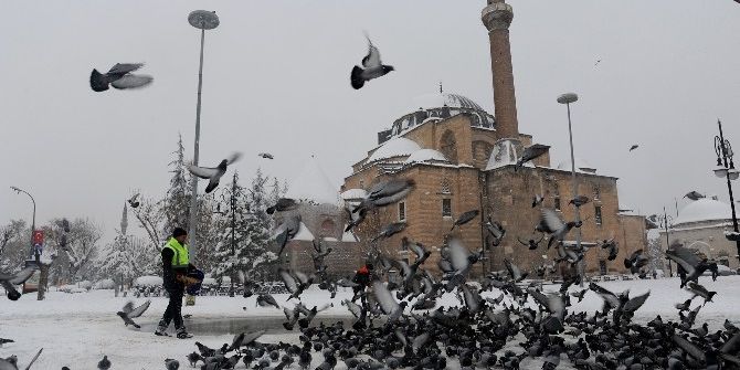 Konya Büyükşehir Belediyesi Kuşlara Ve Sahipsiz Hayvanlara Yem Bırakıyor