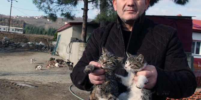"Burası Hayvan Barınağı Değil Sevgi Yuvası"