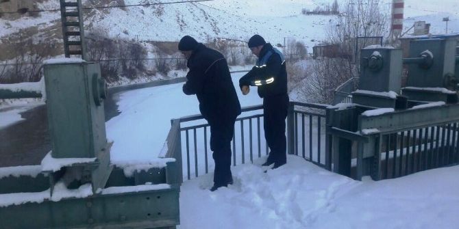 Zabıtalar Sokak Hayvanlarını Unutmadı