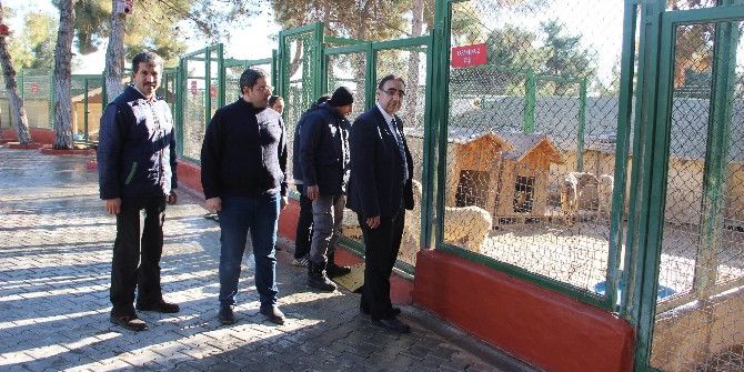 Hayvanları Korumak İçin Yerel Müfettişler Geliyor