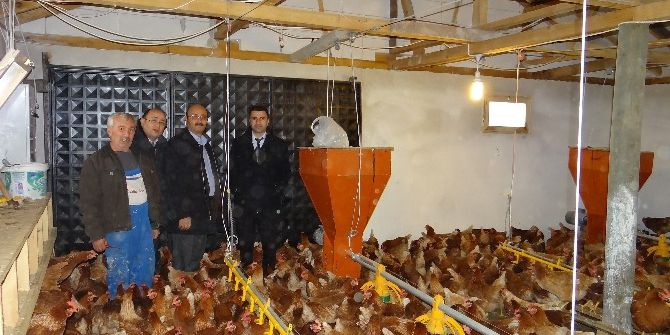 Tarımda Kasım Ayı Dolu Dolu Geçti