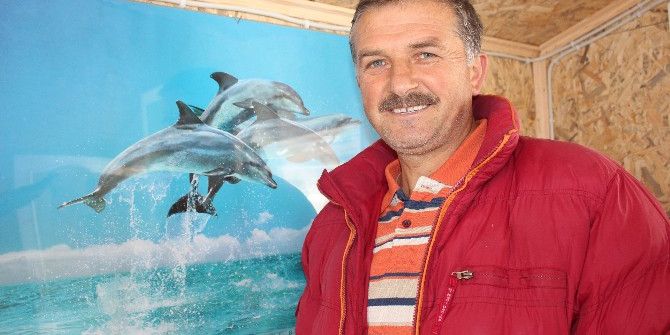 Karadeniz’de “Hamsinin Kulağına Kar Suyu Kaçtı” Sözü Yalan Oldu