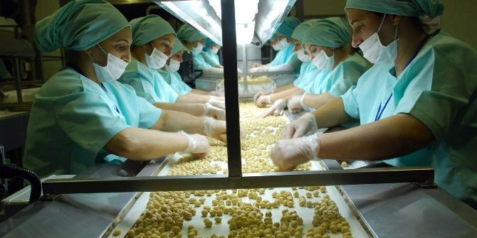 700 Ton Tavuk Ayağı 2780 Ton Fındık İhraç Edildi