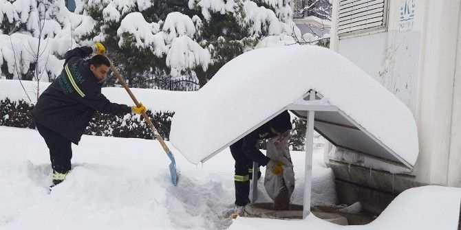 Meram’da Sokak Hayvanlarına Sahip Çıkılıyor