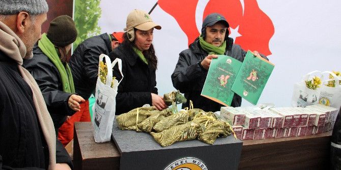 Şehitler Tepesi’ne Şehitler Anısına Fidan Dikildi